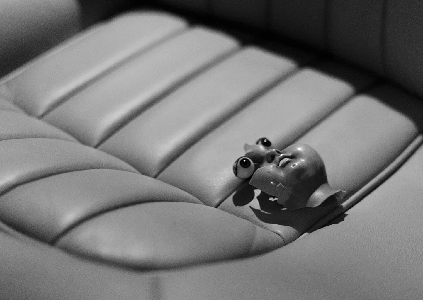 Фото - : 1443x1024 / 107 Кб