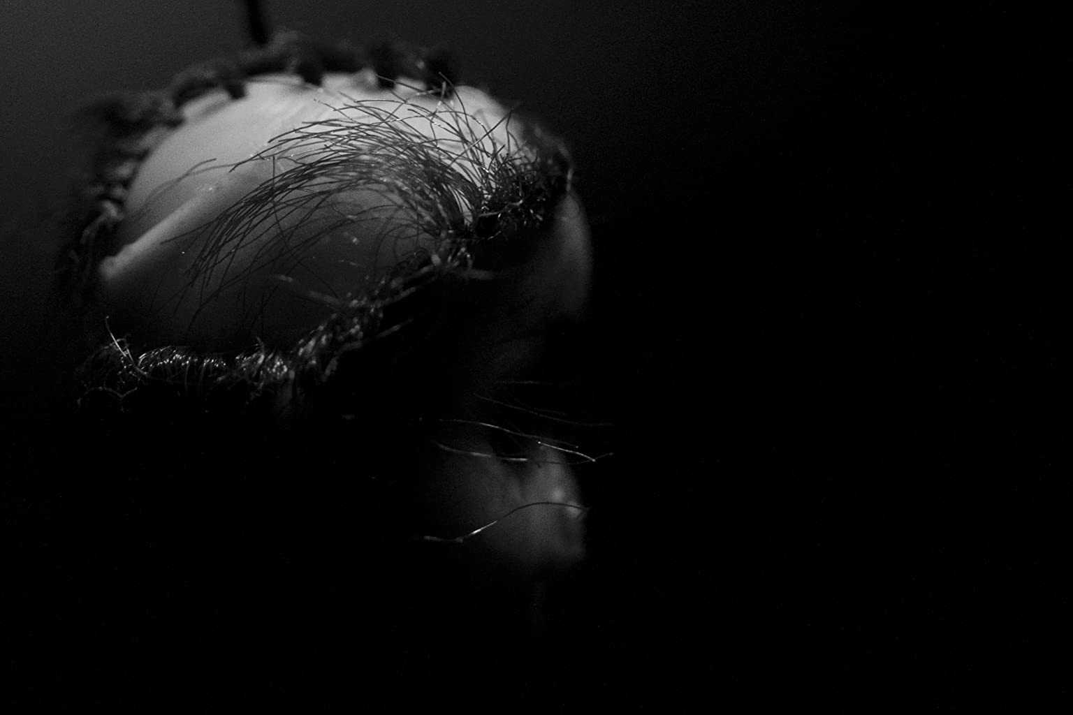 Фото - : 1536x1024 / 51 Кб