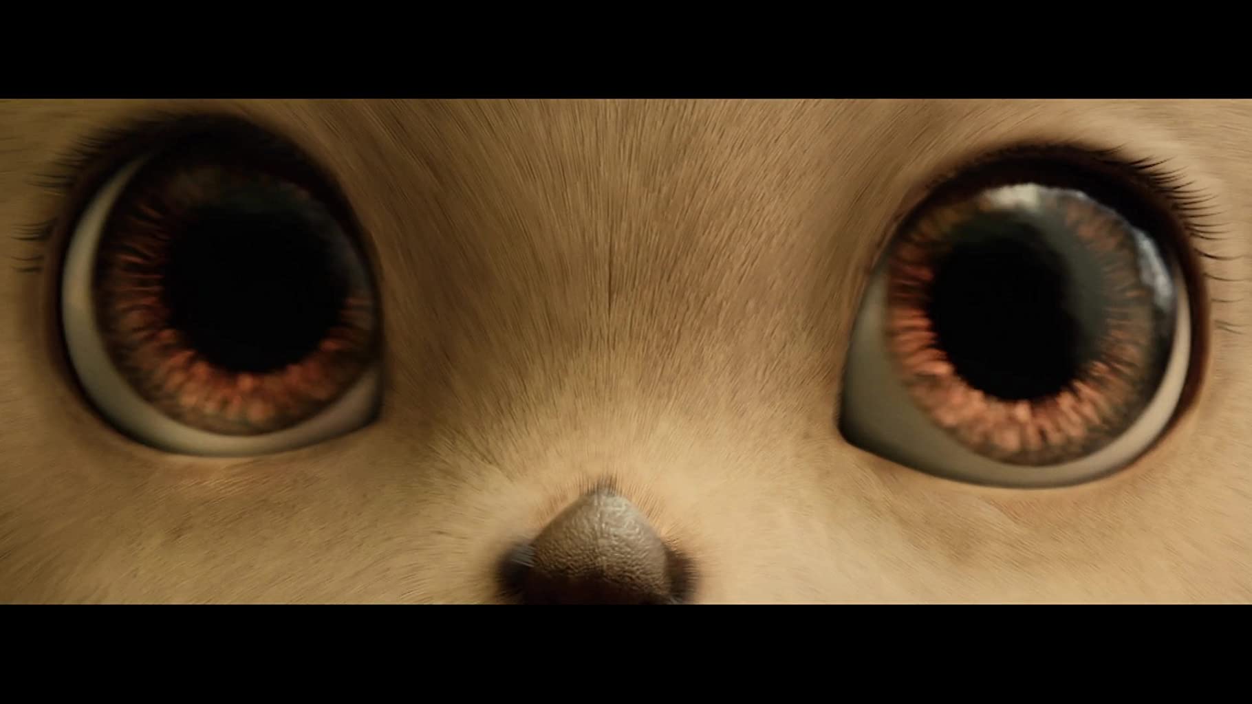 Фото - Чебурашка: 1820x1024 / 80 Кб