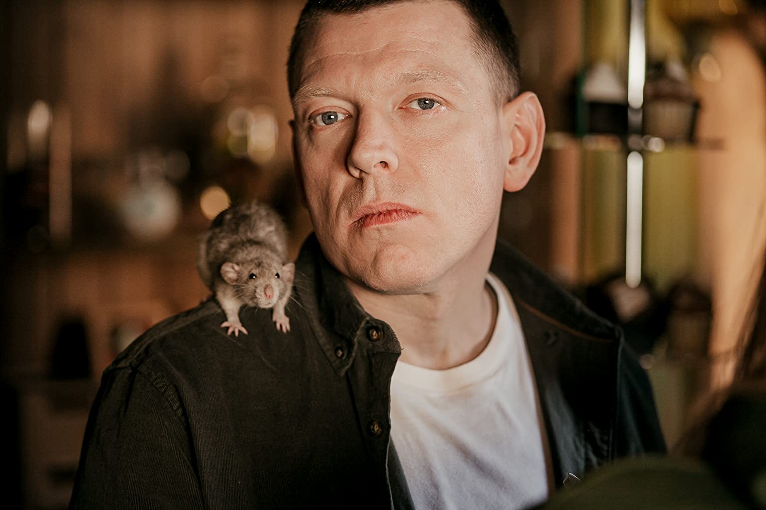 Фото - Чебурашка: 1536x1024 / 104 Кб