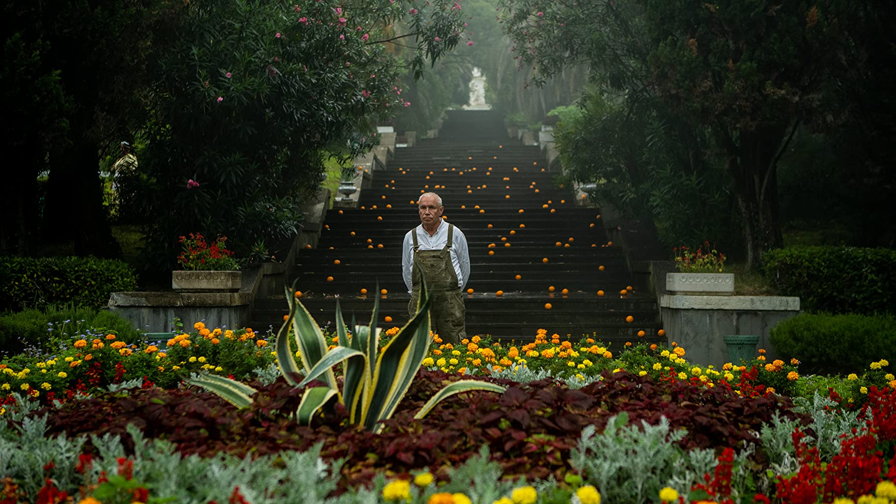 Фото - Чебурашка: 1820x1024 / 253 Кб