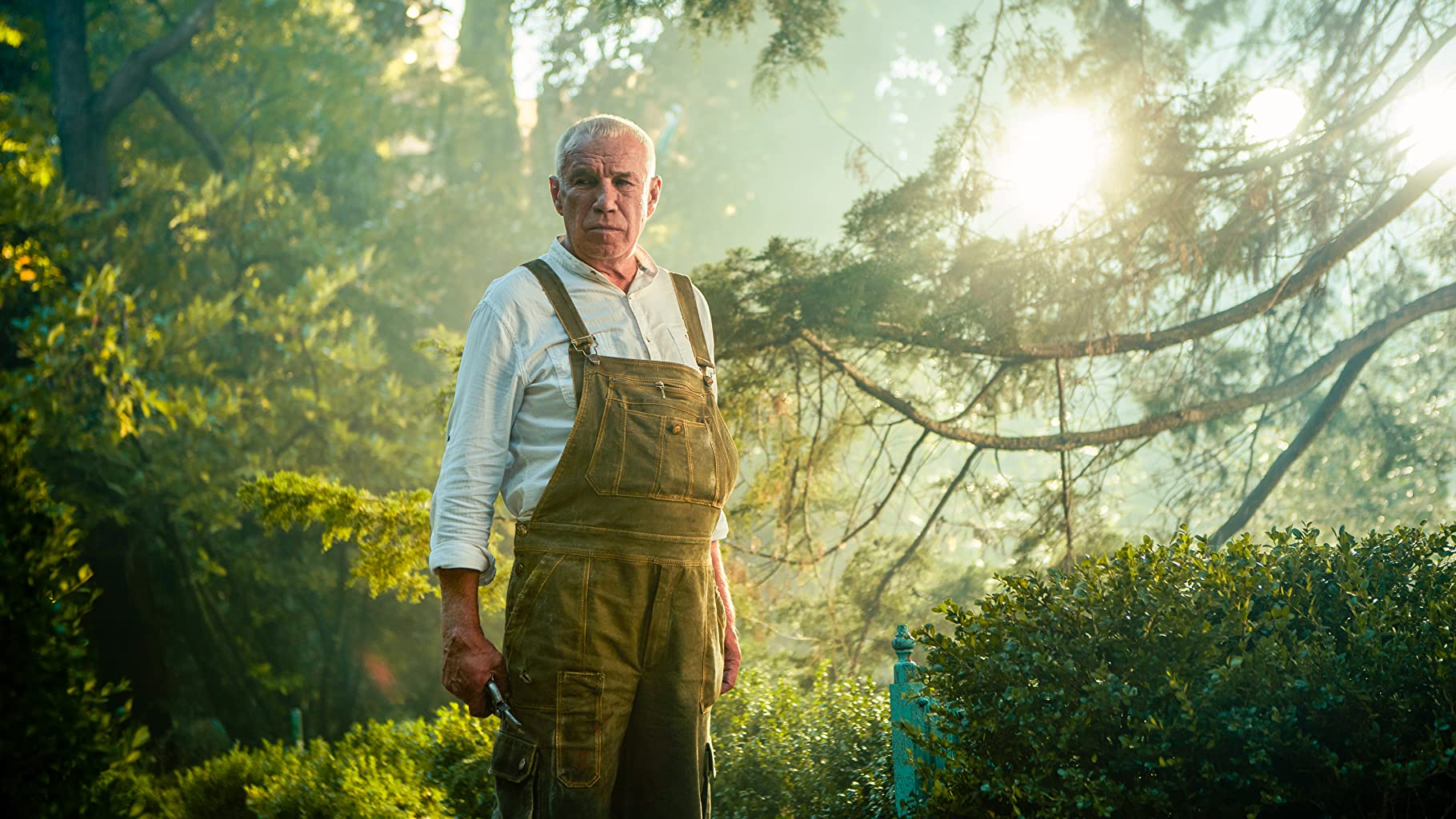 Фото - Чебурашка: 1820x1024 / 249 Кб