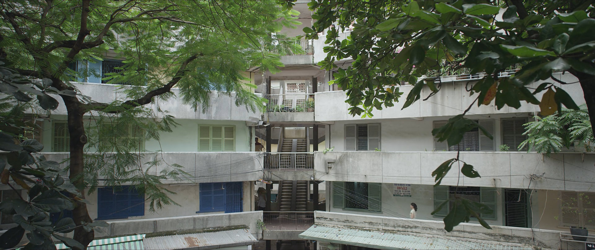 Фото - : 1920x808 / 406 Кб