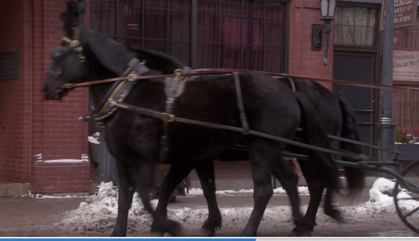 Фото - : 1338x769 / 105 Кб