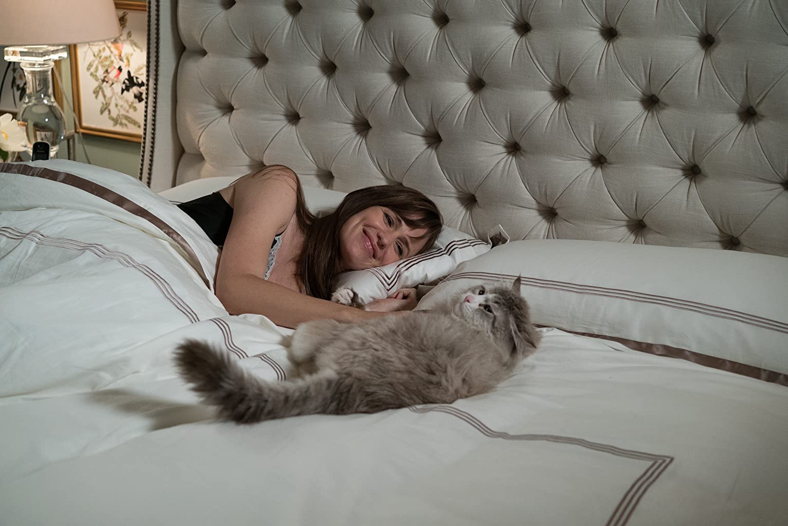 Фото - Девять жизней: 1533x1024 / 127 Кб