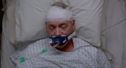 Фото - Девять жизней: 512x278 / 15 Кб