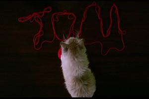 Фото - Девять жизней: 300x200 / 5 Кб