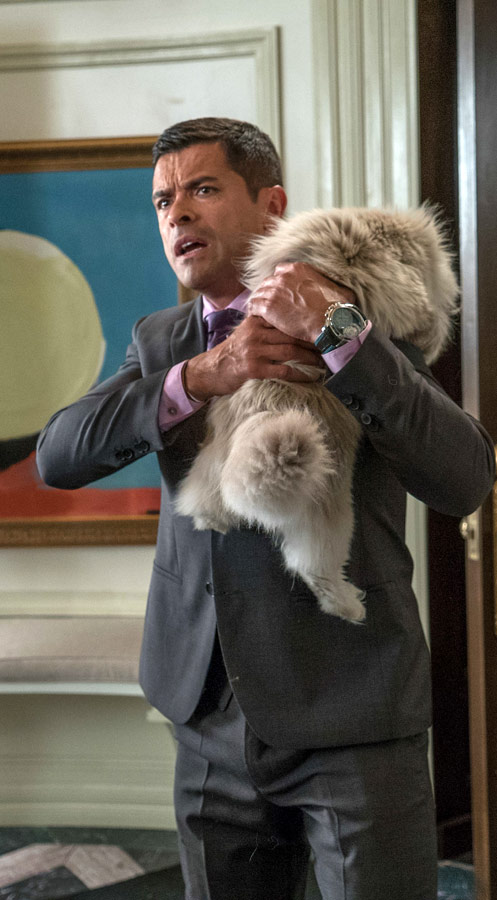 Фото - Девять жизней: 497x900 / 91 Кб