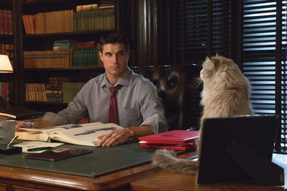 Фото - Девять жизней: 990x659 / 81 Кб