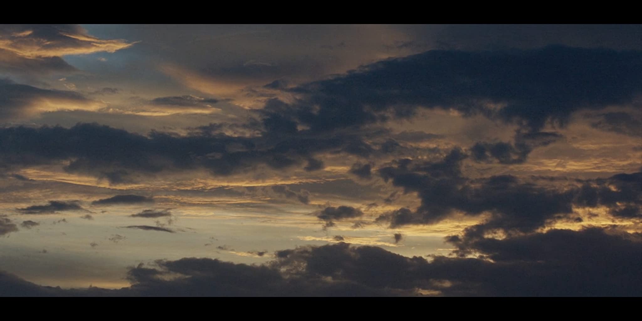 Фото - Арахисовый сокол: 2048x1024 / 85 Кб