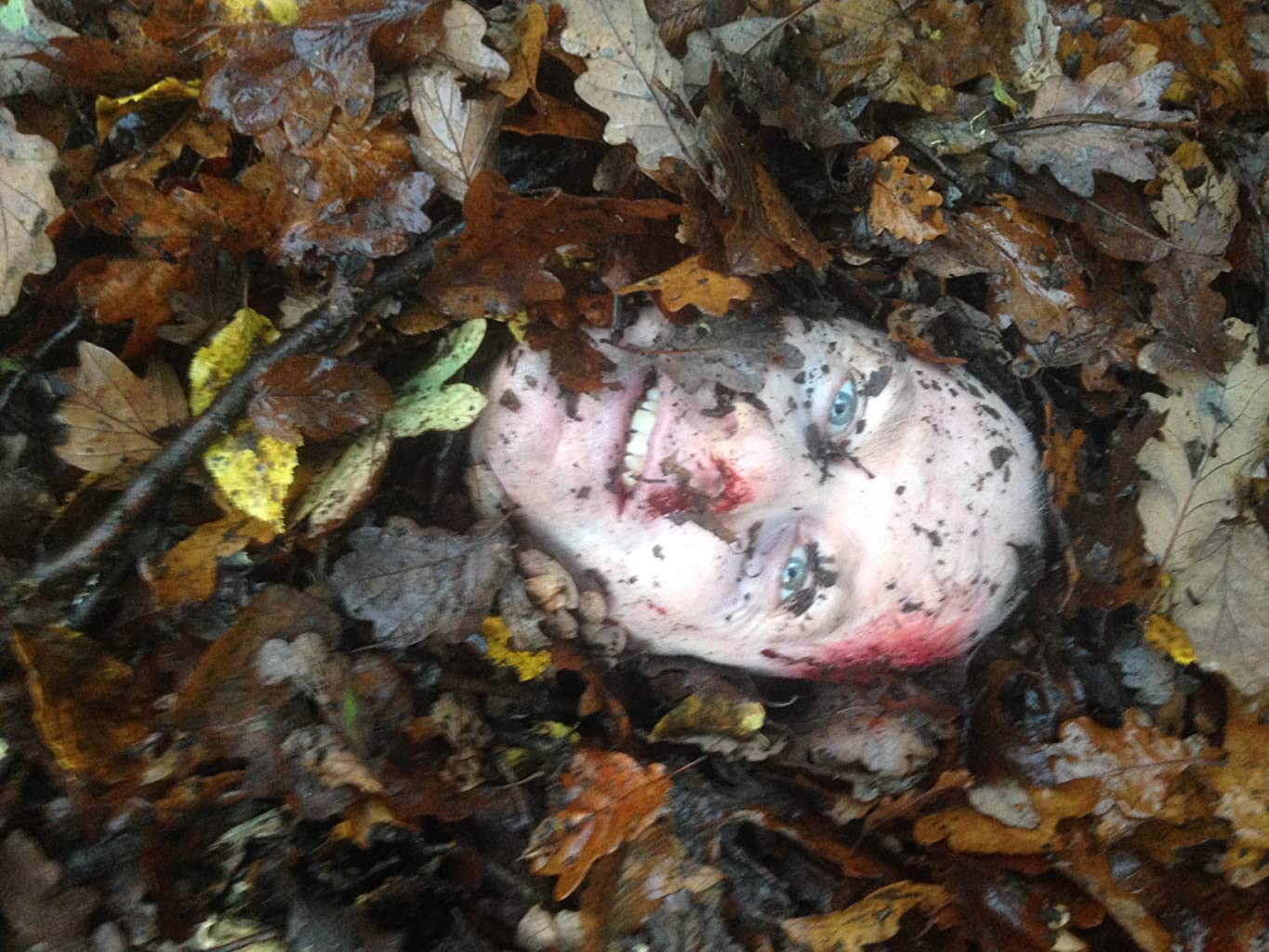 Фото - : 1365x1024 / 179 Кб