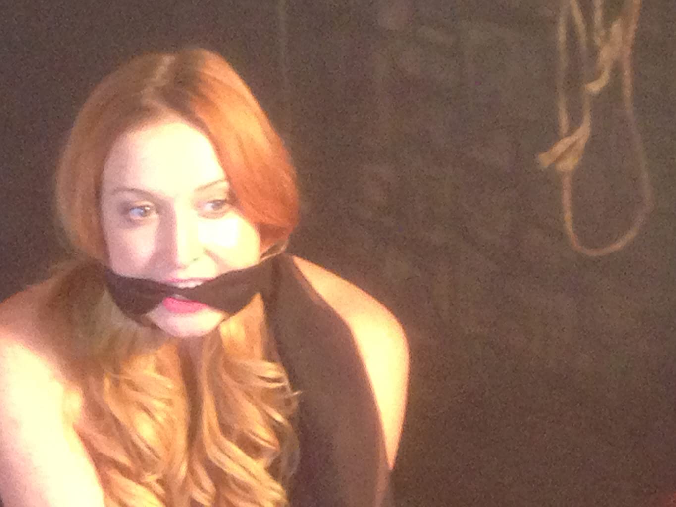 Фото - : 1365x1024 / 87 Кб