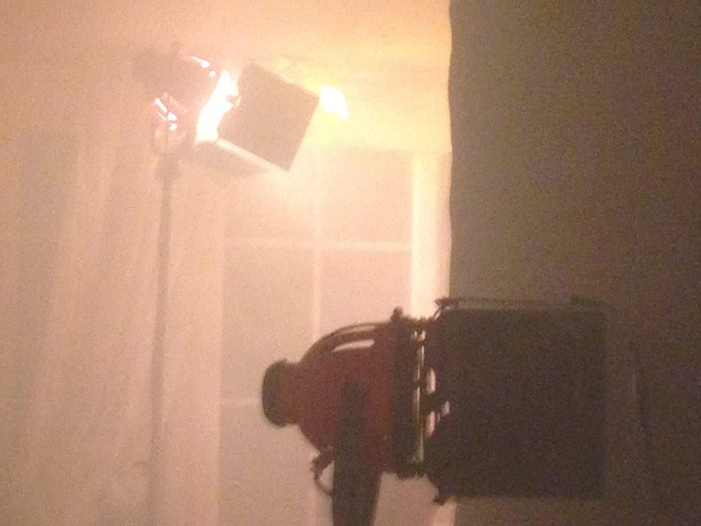 Фото - : 1365x1024 / 90 Кб