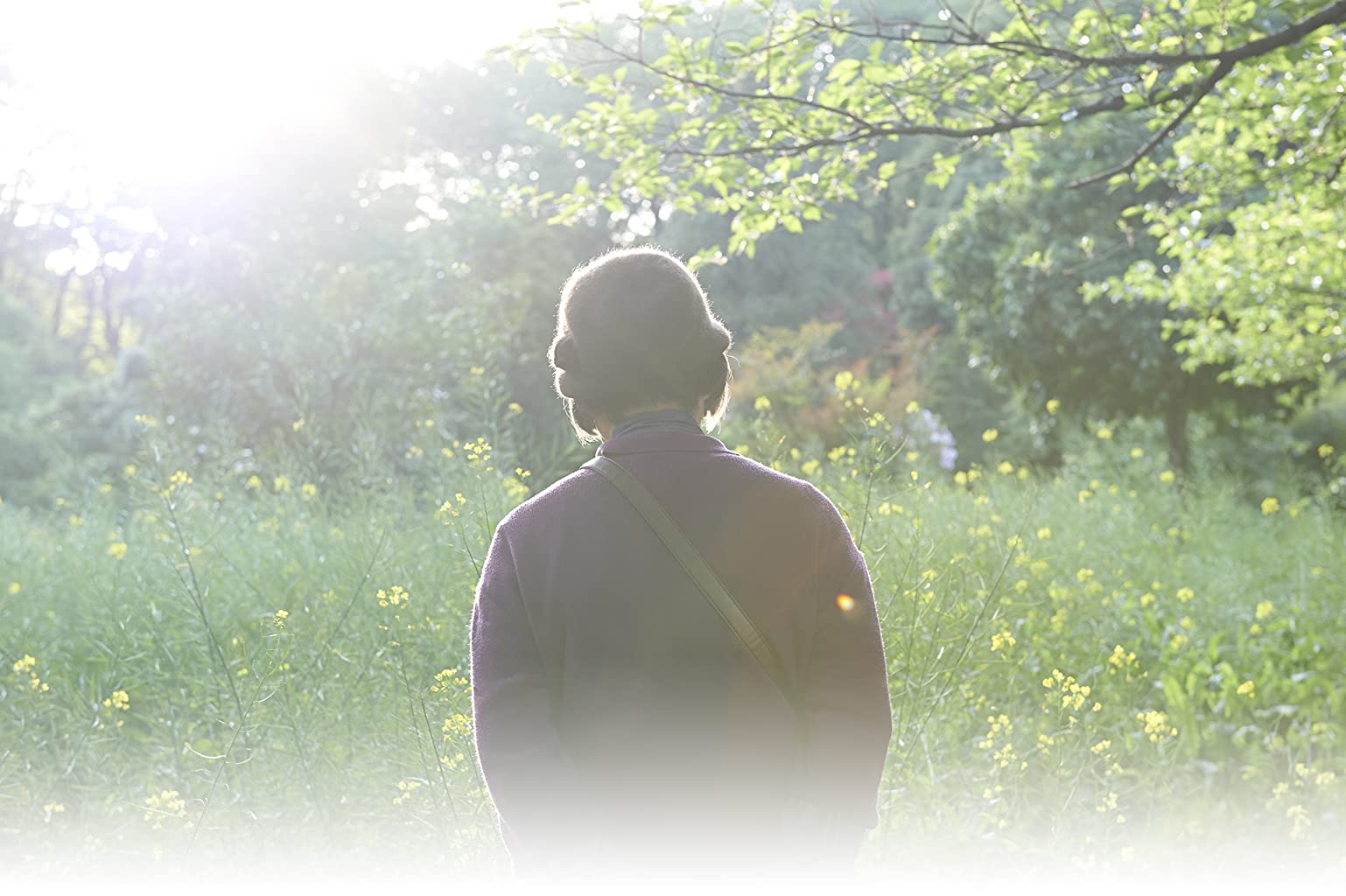 Фото - : 1538x1024 / 131 Кб