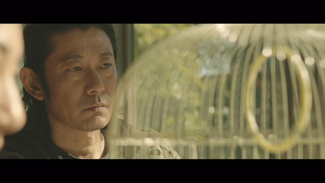 Фото - : 1136x640 / 45 Кб