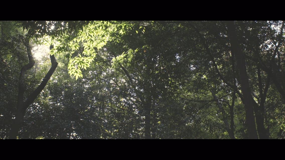 Фото - : 1136x640 / 114 Кб