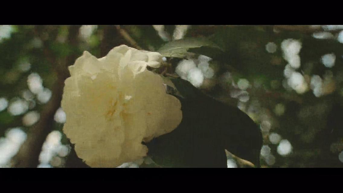 Фото - : 1136x640 / 43 Кб