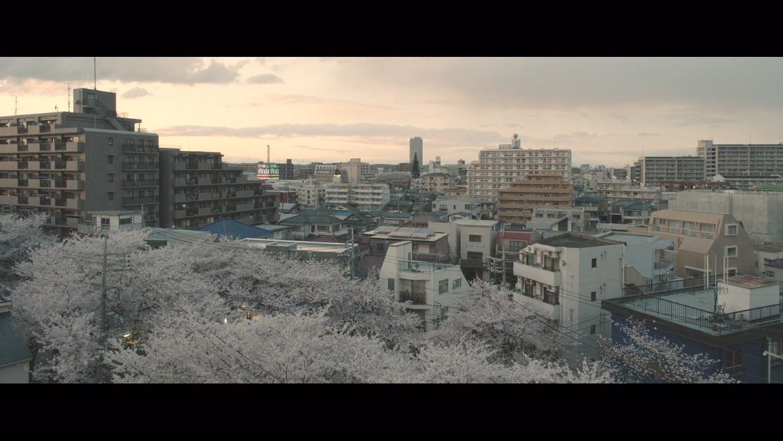 Фото - : 1136x640 / 84 Кб