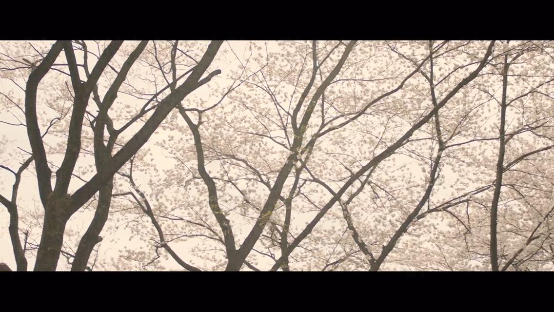 Фото - : 1136x640 / 128 Кб