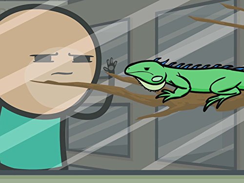 Фото - : 500x375 / 32 Кб