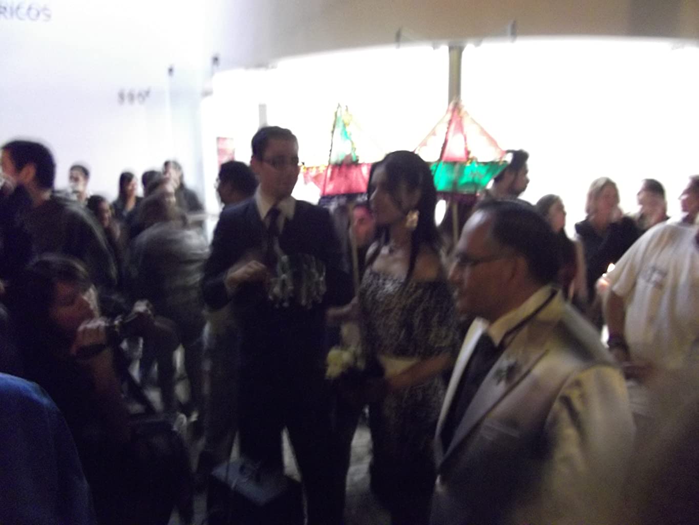 Фото - : 1365x1024 / 72 Кб