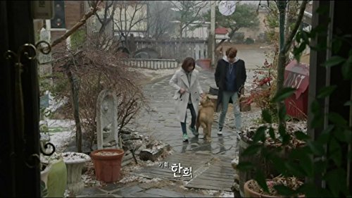 Фото - : 500x281 / 37 Кб