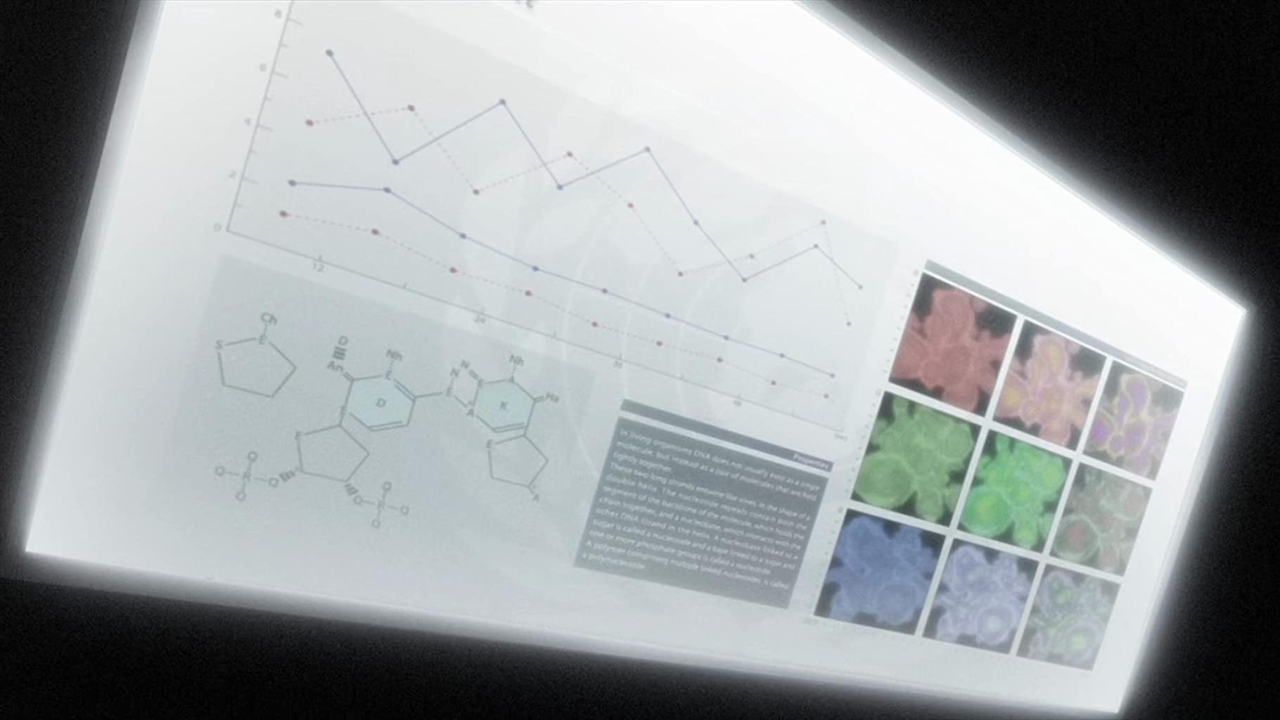 Фото - : 1820x1024 / 82 Кб