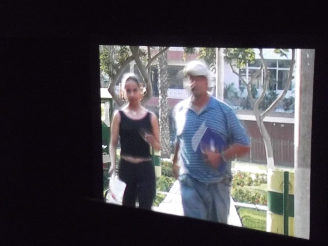 Фото - : 1365x1024 / 72 Кб