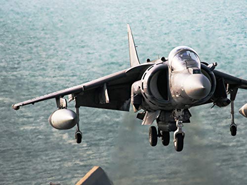 Фото - : 500x375 / 30 Кб