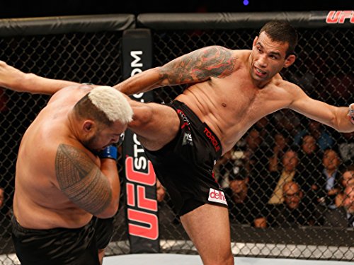 Фото - : 500x375 / 49 Кб