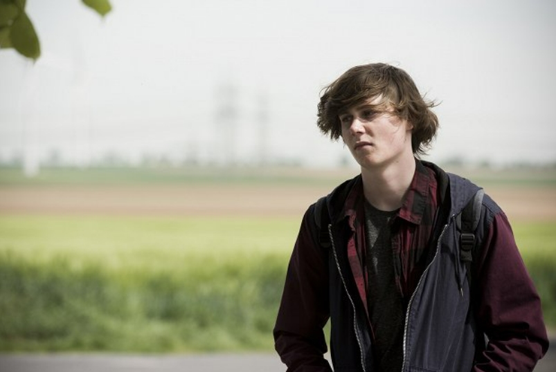 Фото - : 803x538 / 120 Кб