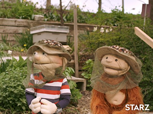 Фото - : 500x375 / 49 Кб