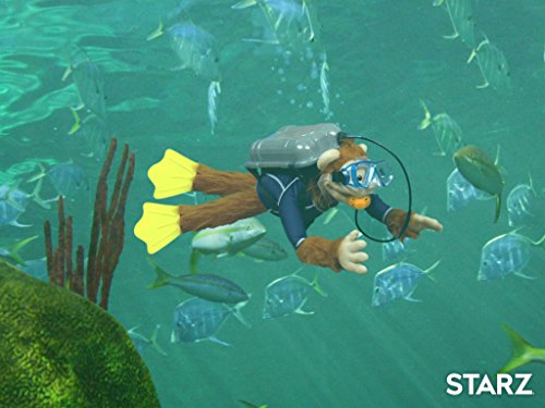 Фото - : 500x375 / 37 Кб