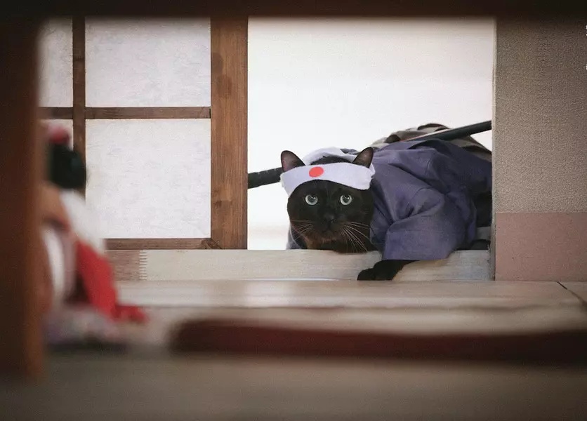 Фото - : 836x600 / 111 Кб