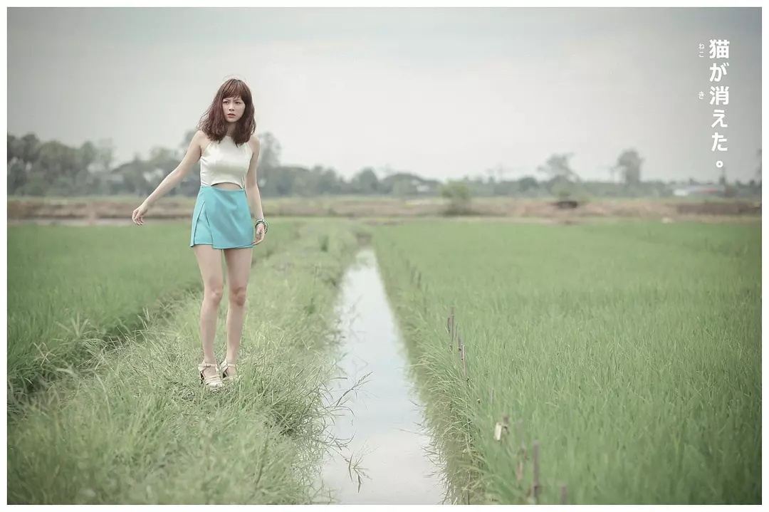 Фото - : 1080x719 / 173 Кб