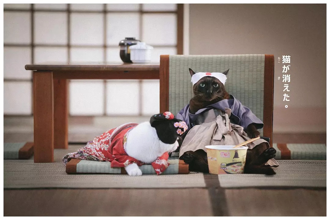 Фото - : 1080x719 / 204 Кб