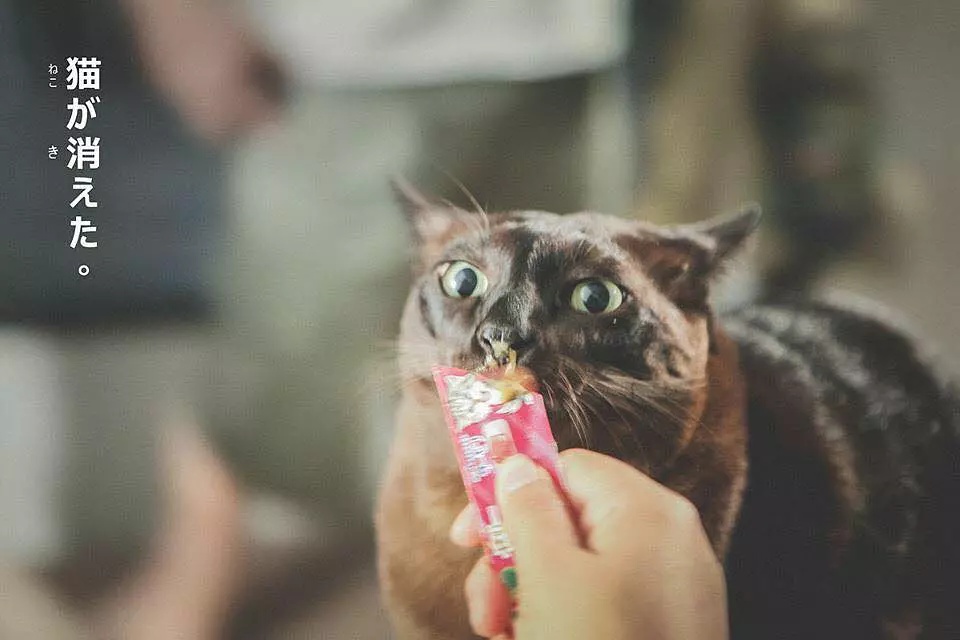 Фото - : 960x640 / 117 Кб