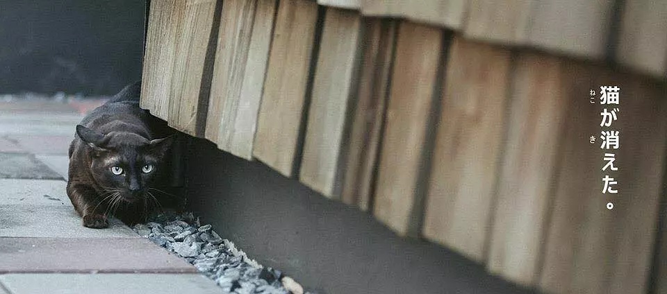 Фото - : 960x424 / 113 Кб