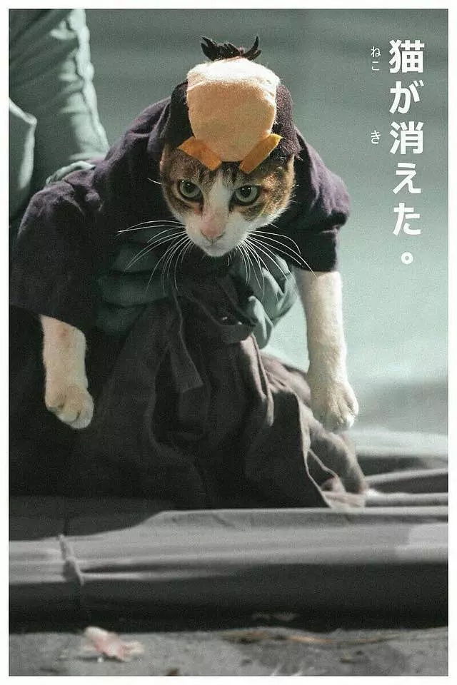 Фото - : 640x960 / 171 Кб