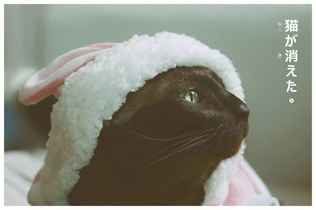 Фото - : 1080x720 / 167 Кб