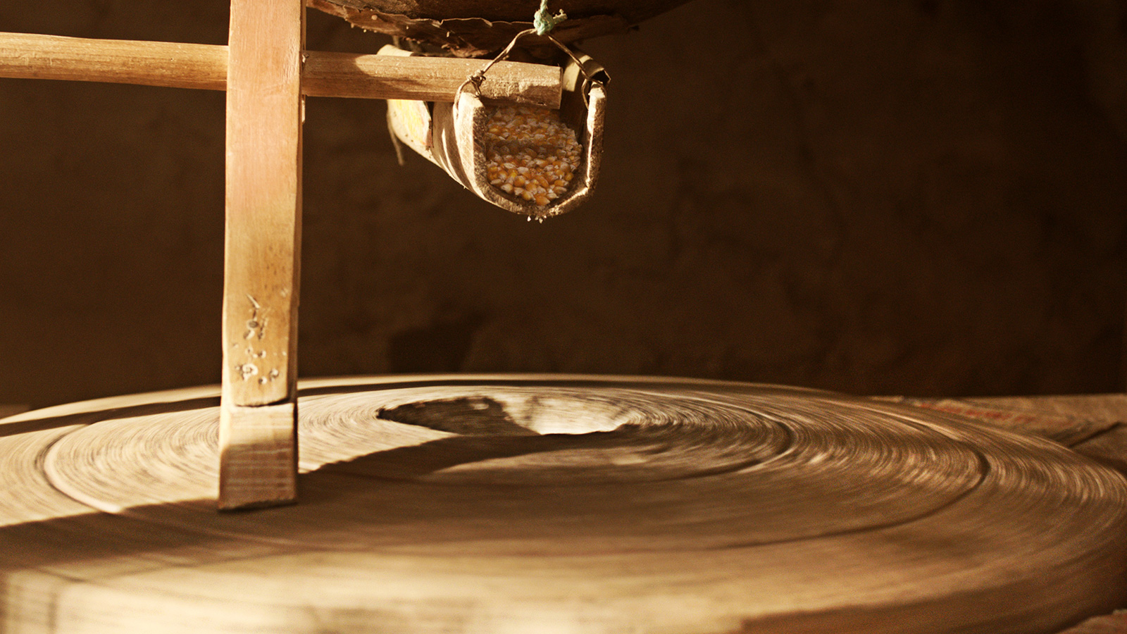 Фото - : 1600x900 / 479 Кб