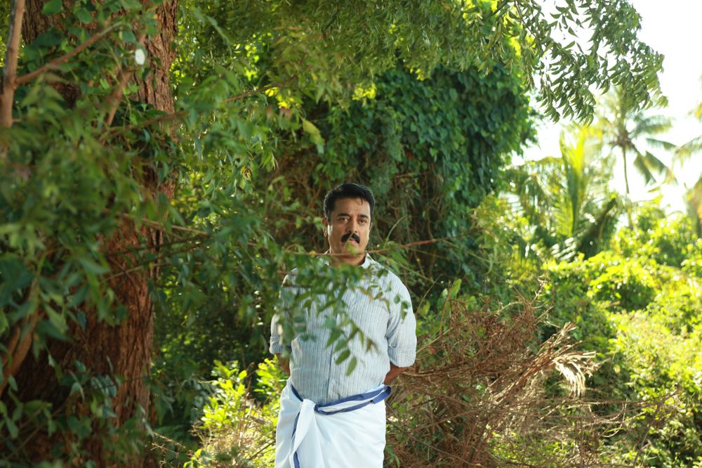 Фото - : 1000x666 / 158 Кб