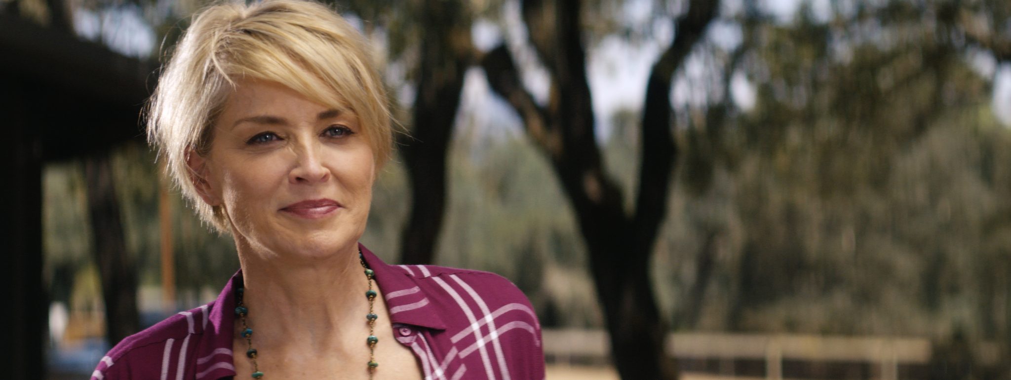 Фото - : 2048x770 / 1163 Кб