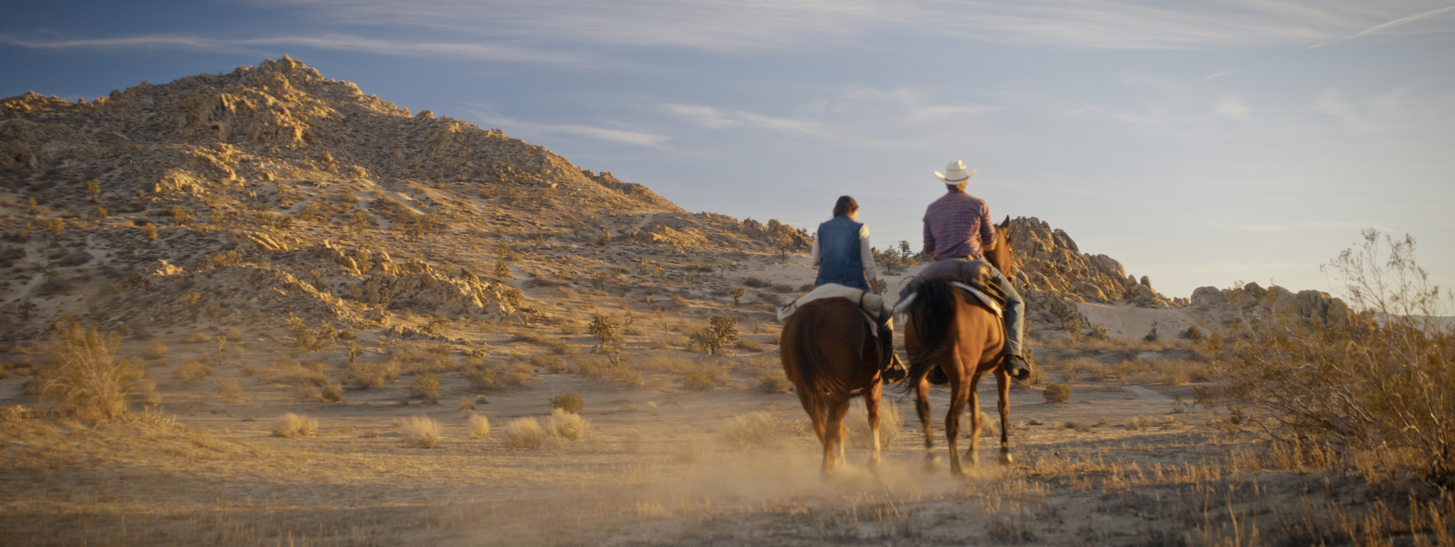Фото - : 2048x770 / 1257 Кб