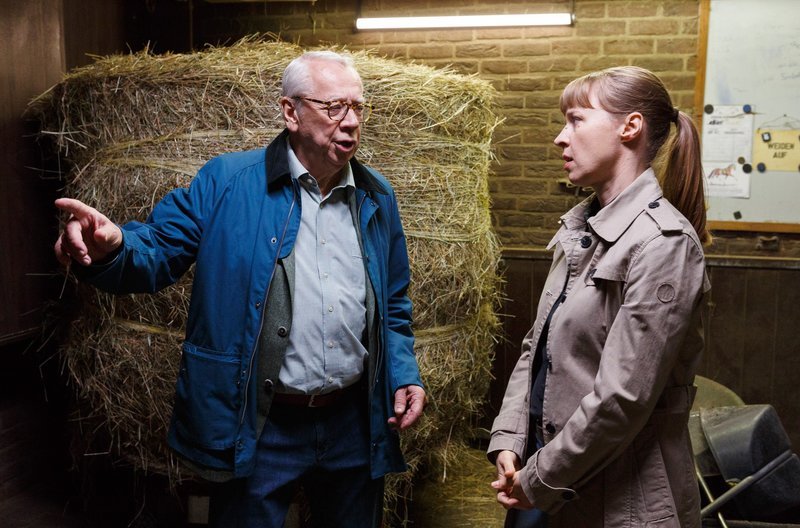 Фото - : 800x528 / 102 Кб