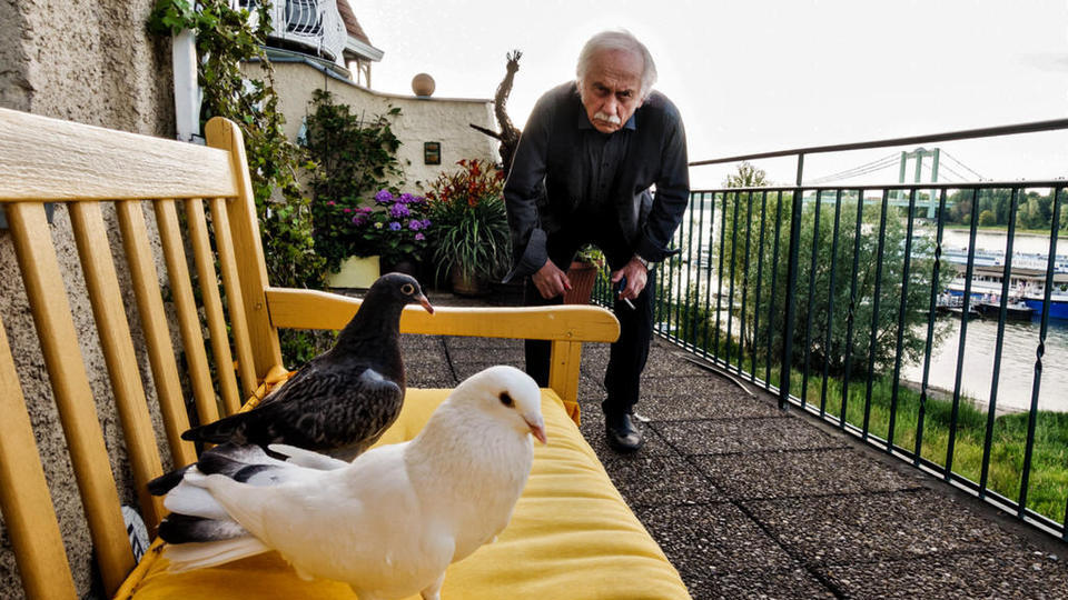 Фото - : 960x540 / 130 Кб