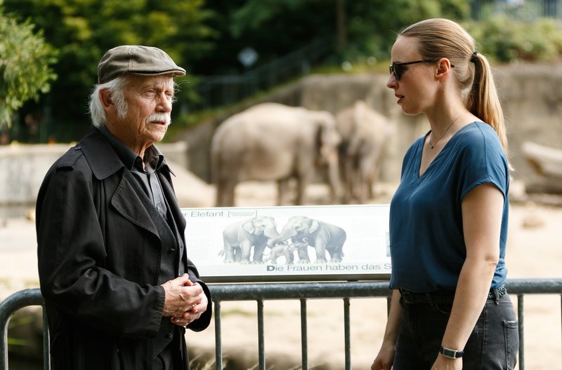 Фото - : 800x528 / 72 Кб