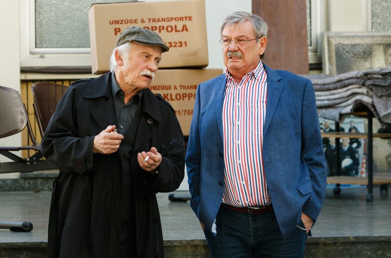 Фото - : 800x528 / 80 Кб