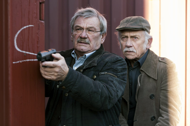 Фото - : 800x533 / 72 Кб