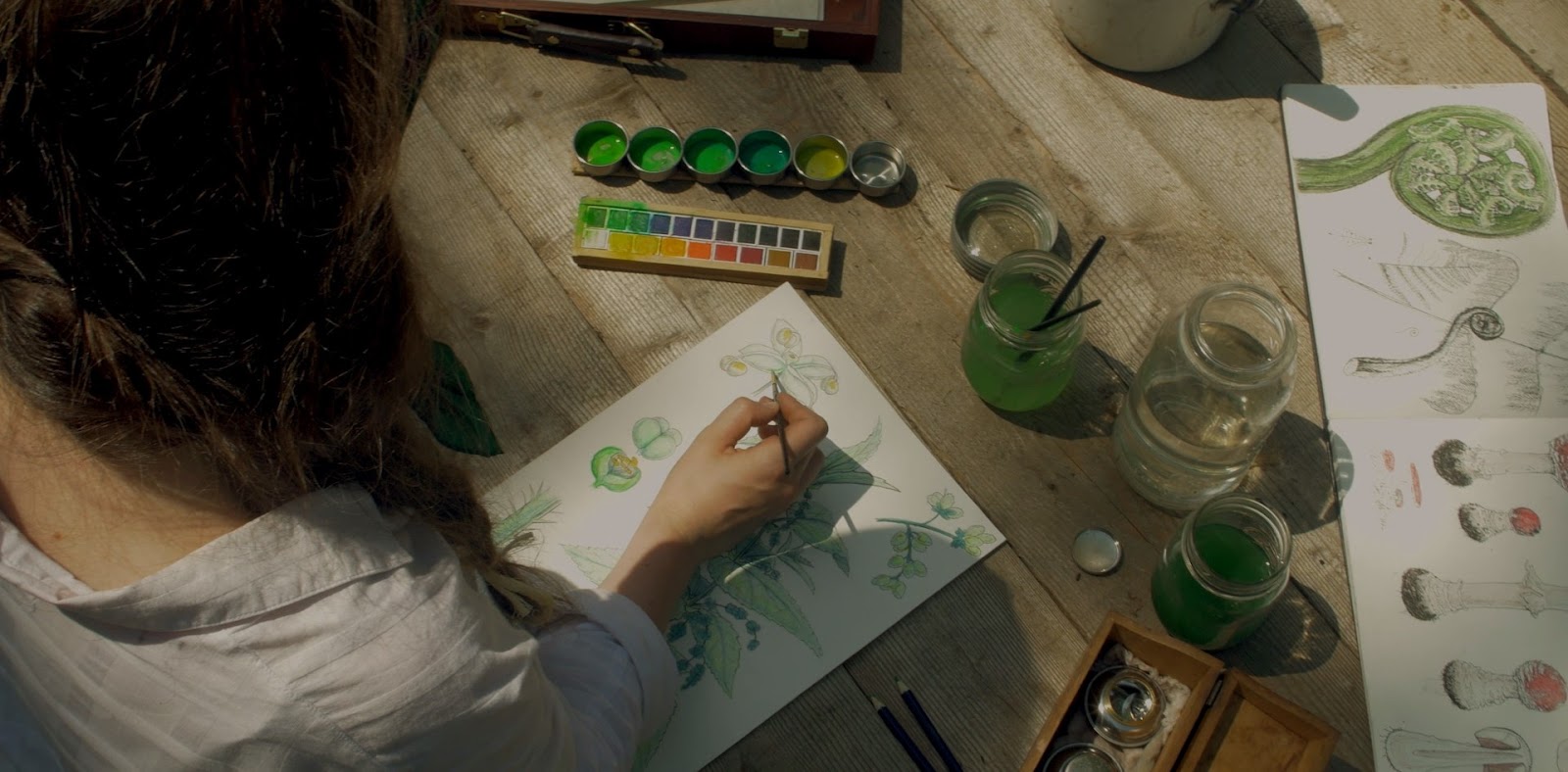 Фото - : 1600x788 / 183 Кб